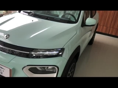 2022 Dongfeng Ex1 Nano Box versione premium 331km Hatchback 5 porte 4 posti SUV Pure Electric